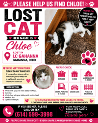 Lost Female Cat last seen Lc Gahanna (Preserve South area), Gahanna, OH 43230