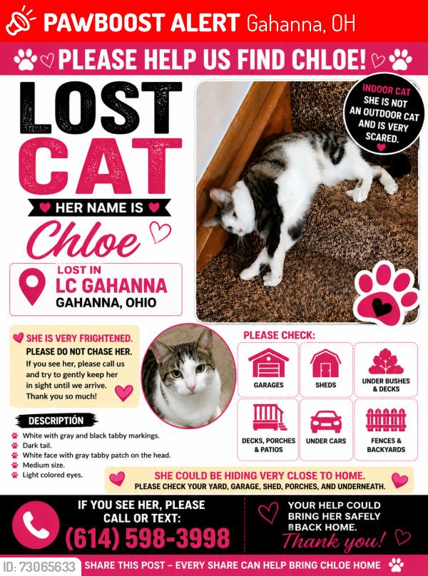 Lost Female Cat last seen Lc Gahanna (Preserve South area), Gahanna, OH 43230