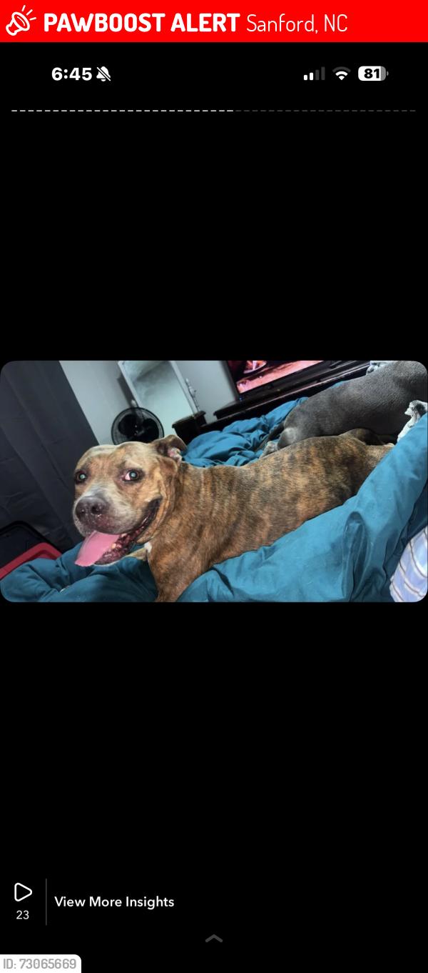 Lost Female Dog last seen Frank wicker & swanns station rd or Carolina trace, Sanford, NC 27332