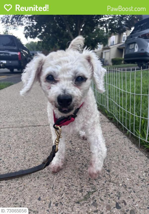 Reunited Female Dog last seen Mulberry Drive, Northampton Township, PA 18966