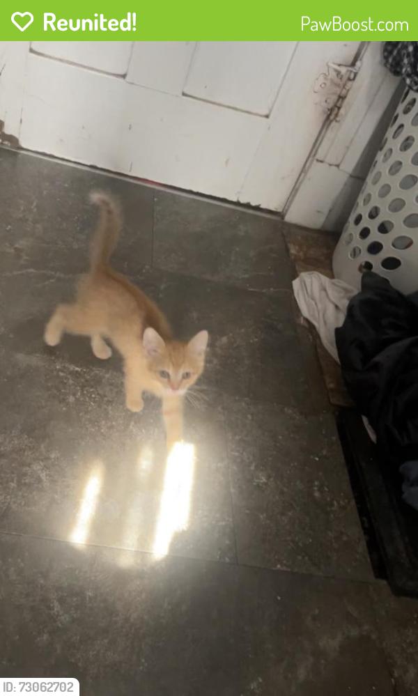 Reunited Male Cat last seen West 13th and summit , Sioux Falls, SD 57104