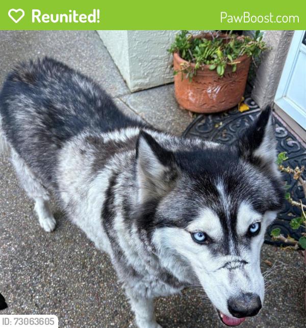 Reunited Unknown Dog last seen King Park - Brentwood Ca, Brentwood, CA 94513