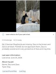 Lost Female Dog last seen Golden valley dr/ rucker rd, Christiana, TN 37037