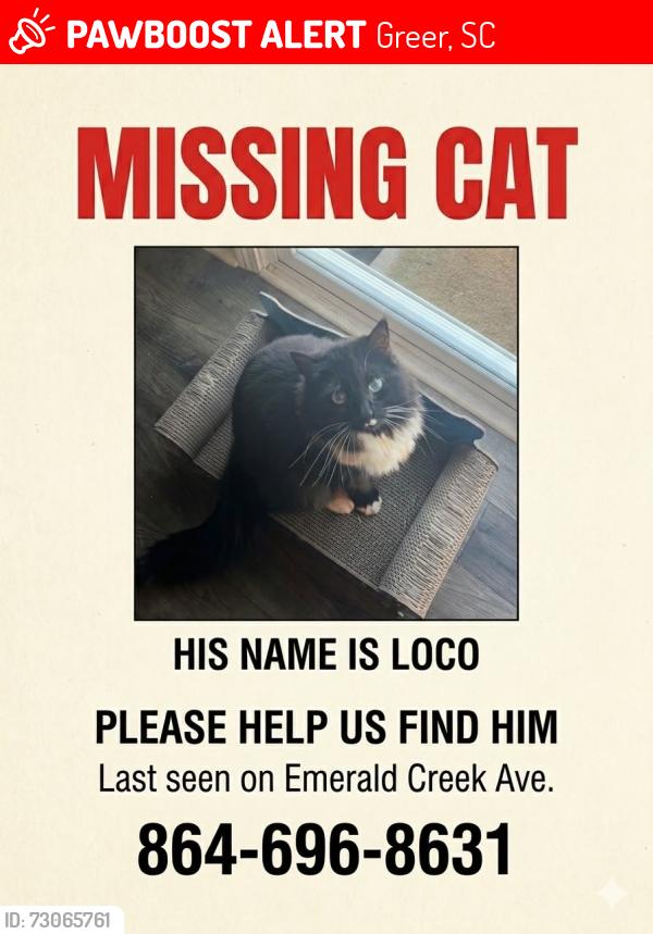 Lost Male Cat last seen Emerald creek ave, Greer, SC 29651