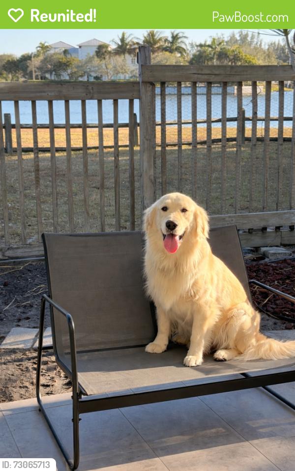 Reunited Female Dog last seen Hibiscus De and Royal Palm Beach Blvd, Royal Palm Beach, FL 33411