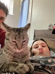 Lost Female Cat last seen Ja cT, Albuquerque, NM 87120
