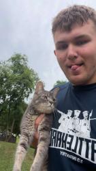 Reunited Male Cat last seen Near kingsway road, Fort Washington, MD 20744