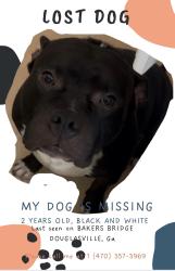 Lost Male Dog last seen Before the intercetion a hse with a trailer in the backyard, Douglasville, GA 30134