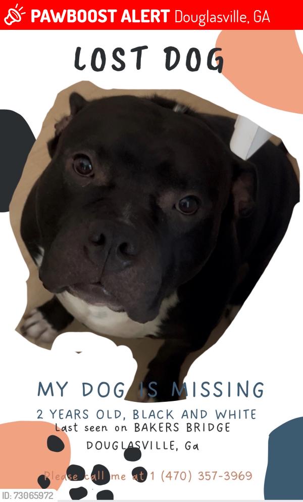 Lost Male Dog last seen Before the intercetion a hse with a trailer in the backyard, Douglasville, GA 30134