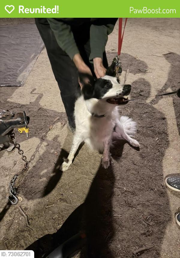 Reunited Unknown Dog last seen Brahmall Park, San Jose, CA 95150