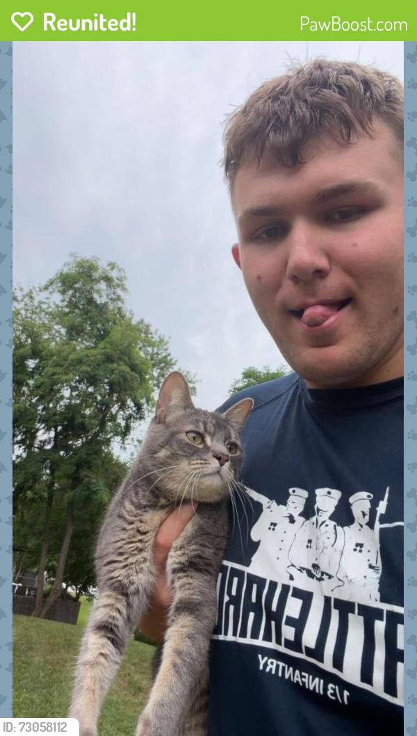 Reunited Male Cat last seen Near kingsway road, Fort Washington, MD 20744