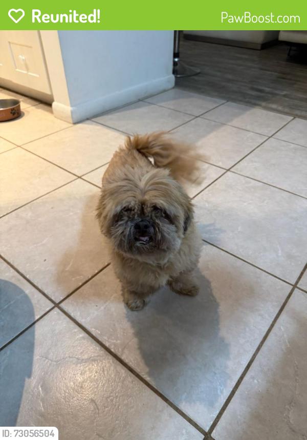 Reunited Female Dog last seen The Ridges/ south post / Weston Rd, Weston, FL 33331