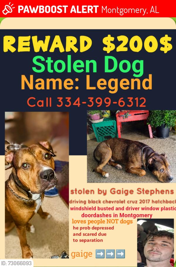 Lost Male Dog last seen Studio lodge Carmichael road, Montgomery, AL 36106