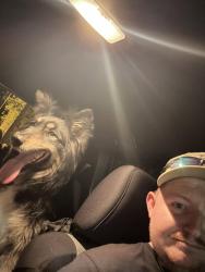 Found/Stray Female Dog last seen Grange Rd, Smithfield, PA, Smithfield, PA 15478