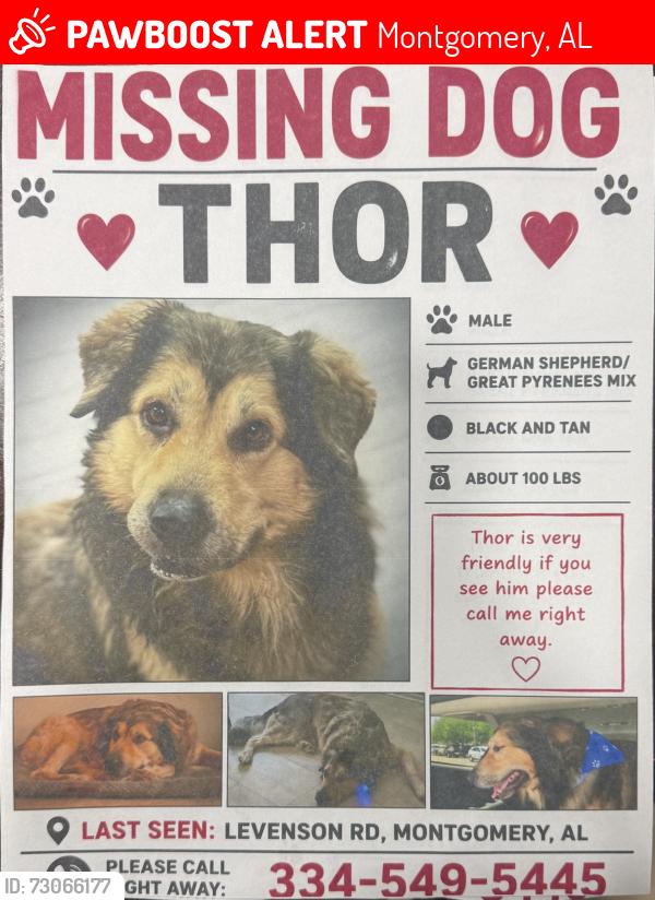 Lost Male Dog last seen Levenson rd, Montgomery, AL 36108