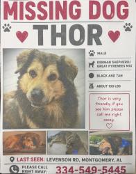 Lost Male Dog last seen Levenson rd, Montgomery, AL 36108