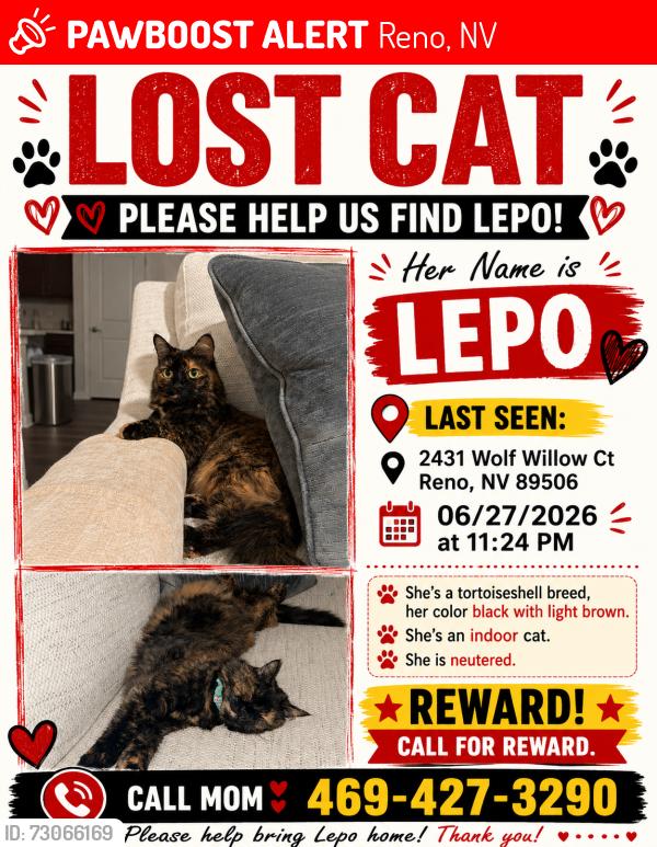 Lost Female Cat last seen In Tri Con Residential home on Lemon Drive., Reno, NV 89506