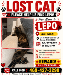 Lost Female Cat last seen In Tri Con Residential home on Lemon Drive., Reno, NV 89506