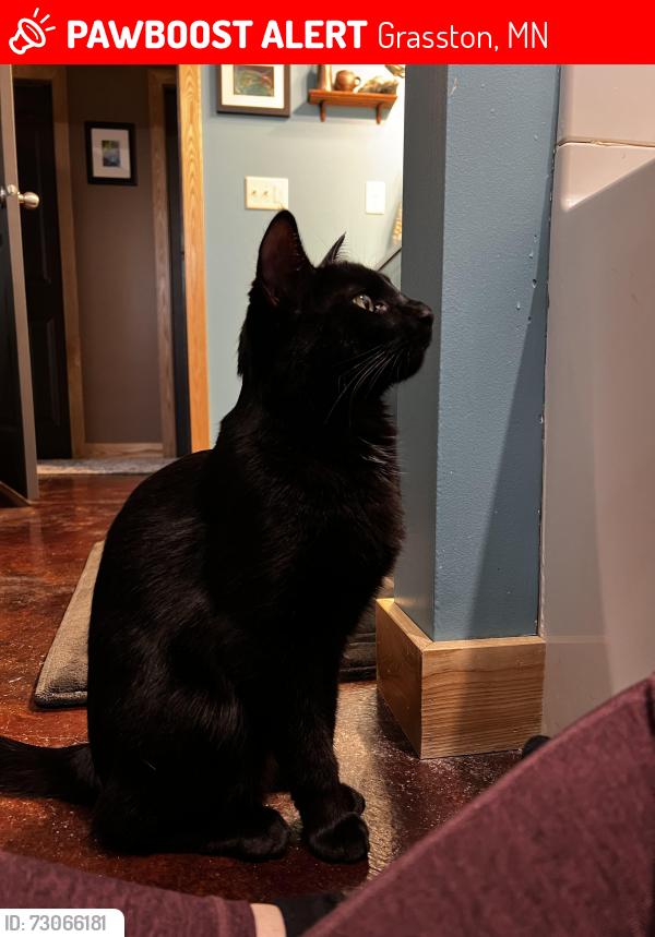 Lost Male Cat last seen Henriette Rd. and Cluster Rd., Grasston, MN 55030
