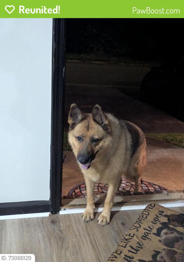 Reunited Female Dog last seen Robert hardeman dr., Winterville, GA 30683