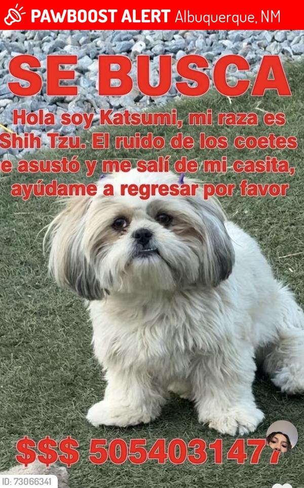 Lost Female Dog last seen Dirección cercana: 1650 Shadyside Dr SW, Albuquerque, NM 87105, Albuquerque, NM 87105