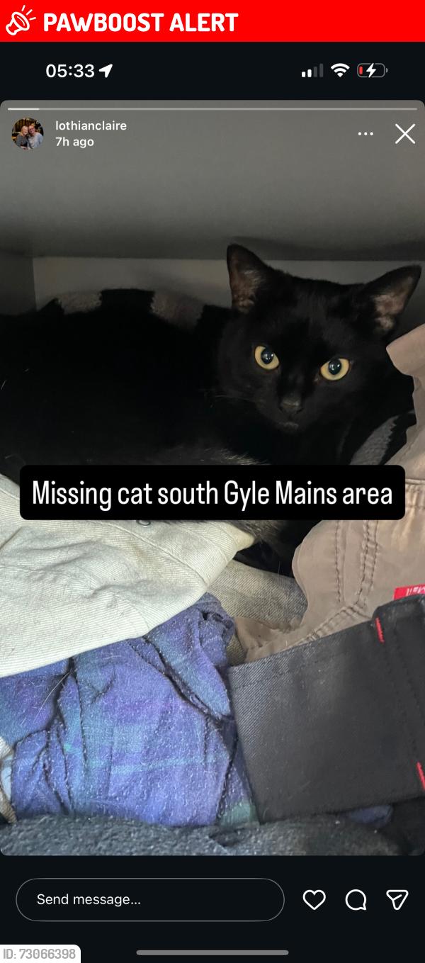 Lost Male Cat last seen South gyle area, Edinburgh, Scotland EH12 9ET