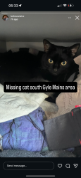 Lost Male Cat last seen South gyle area, Edinburgh, Scotland EH12 9ET