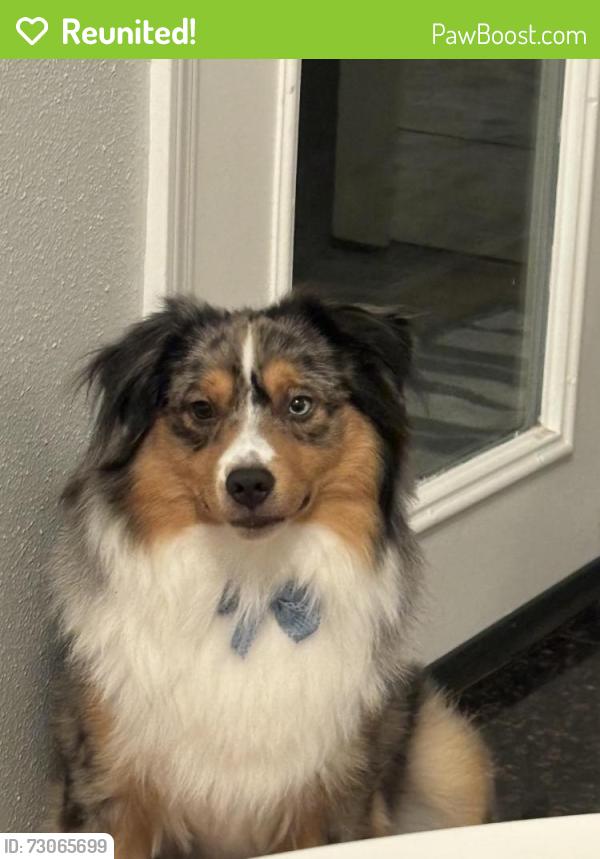 Reunited Male Dog last seen Jones Bridge Plantation, Johns Creek, GA 30022