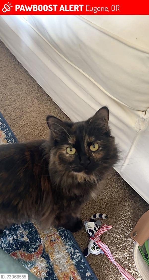 Lost Female Cat last seen Goodpasture Island Rd., Eugene, OR 97401