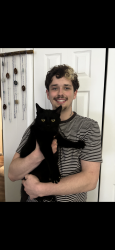 Lost Male Cat last seen Detweiler Road, Columbiana, Ohio, 44408, Columbiana, OH 44408