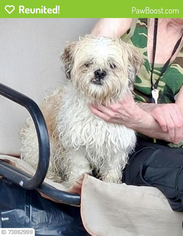Reunited Male Dog last seen Knorr and Torresdale , Philadelphia, PA 19114