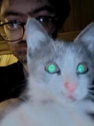 Reunited Unknown Cat last seen A hse across the street by woods, Lillington, NC 27546