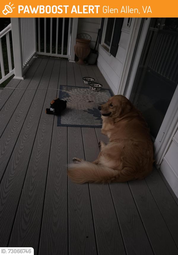 Found/Stray Unknown Dog last seen Near dovetail Ct, Glen Allen, VA 23060