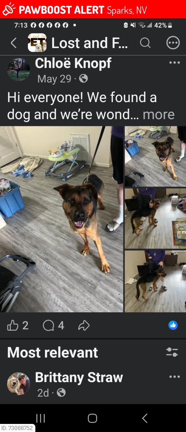 Lost Male Dog last seen Sullivan, Sparks, NV 89431