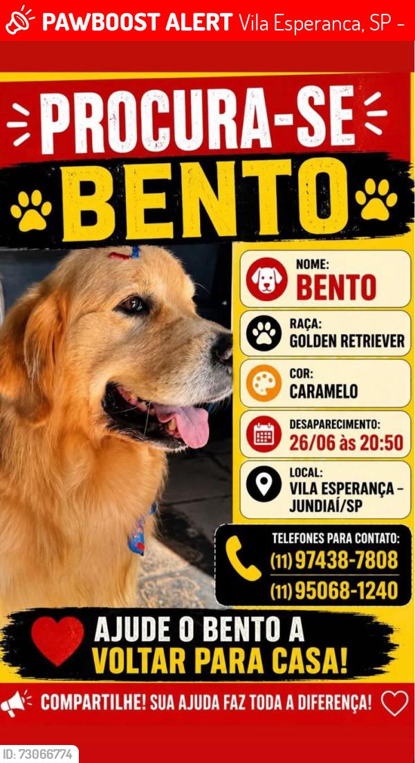 Lost Male Dog last seen Rua José de Jesus 166vila esperança Jundiaí, Vila Esperanca, SP 13203-831