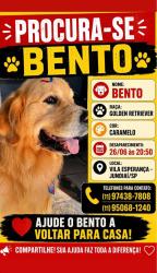 Lost Male Dog last seen Rua José de Jesus 166vila esperança Jundiaí, Vila Esperanca, SP 13203-831