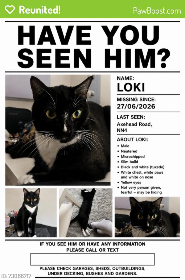 Reunited Male Cat last seen Axe head road. Nn4 , West Northamptonshire, England NN4 8TF