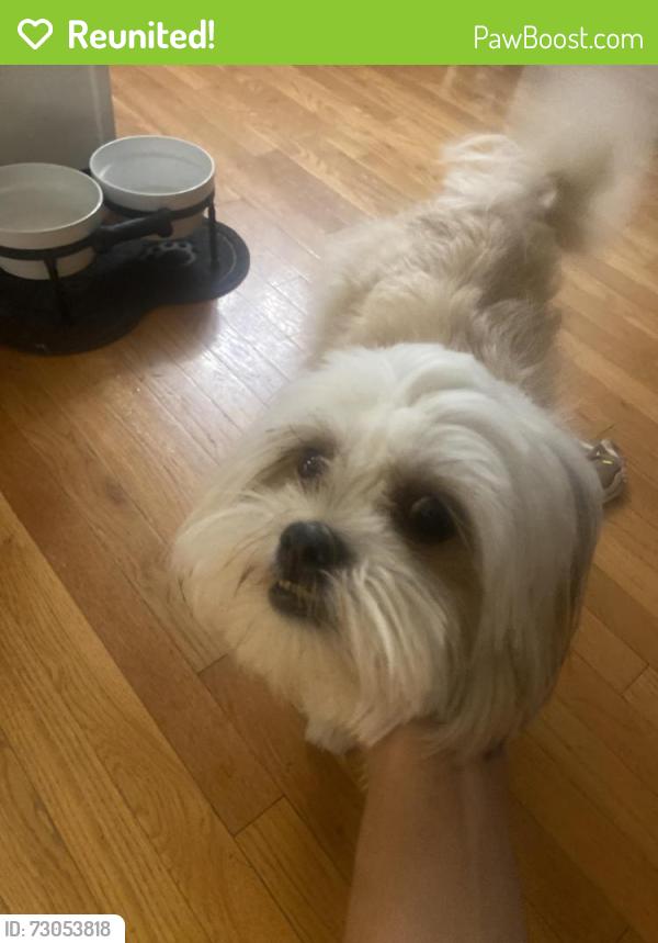 Reunited Male Dog last seen apmts, forest, Georgia Gwinnett college, Lawrenceville, GA 30043