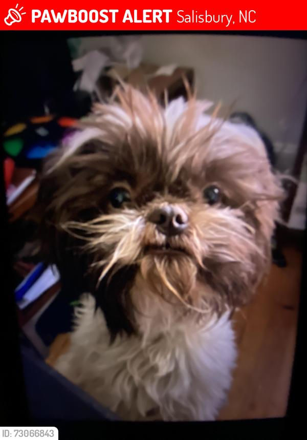 Lost Male Dog last seen Eamon Avenue & Lincolnton Road near Eaman Park Pool Club, Salisbury, NC 28144