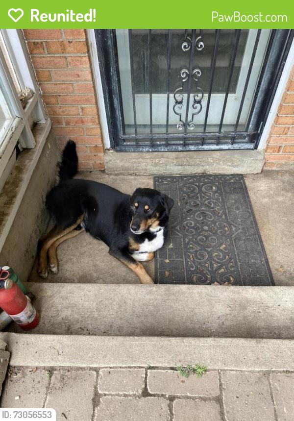 Reunited Male Dog last seen Possum point , Dumfries, VA 22026