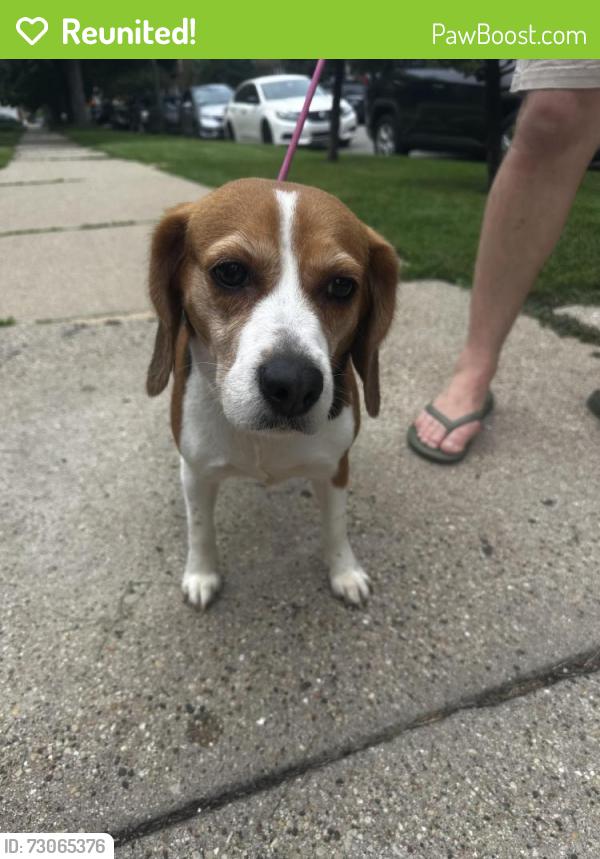 Reunited Female Dog last seen Long and fletcher , Chicago, IL 60641