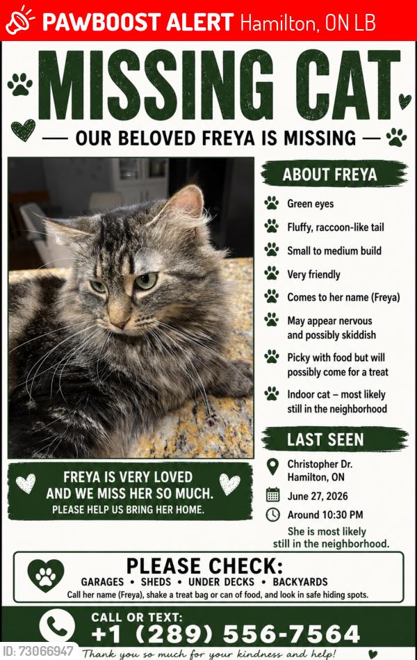 Lost Female Cat last seen Christopher Drive, Hamilton, ON L9B