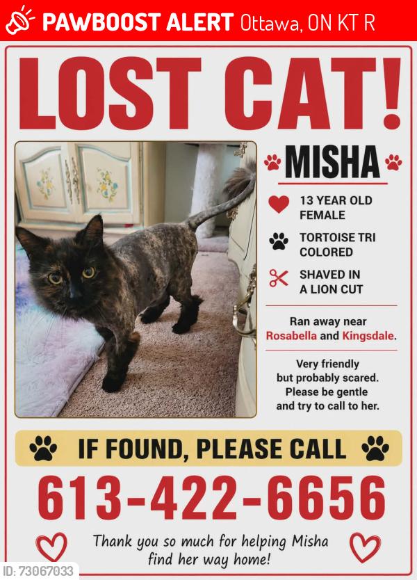 Lost Female Cat last seen Kingsdale/Rosebella, Ottawa, ON K1T 3R4