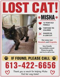 Lost Female Cat last seen Kingsdale/Rosebella, Ottawa, ON K1T 3R4