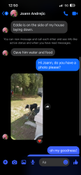 Reunited Male Dog last seen SW 43rd Avenue Rd Ocala, FL  34473 United States, Marion Oaks, FL 34473