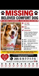 Reunited Female Dog last seen Hwy 26, Alabaster, AL 35007