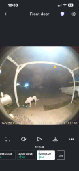 Found/Stray Unknown Dog last seen Taylor and Lorna, Burleson, TX 76028