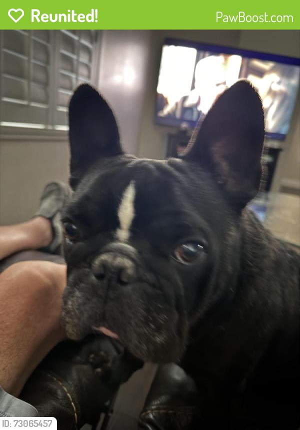 Reunited Male Dog last seen Near N Indianhead Rd, Hernando Fl 34442, Hernando, FL 34442