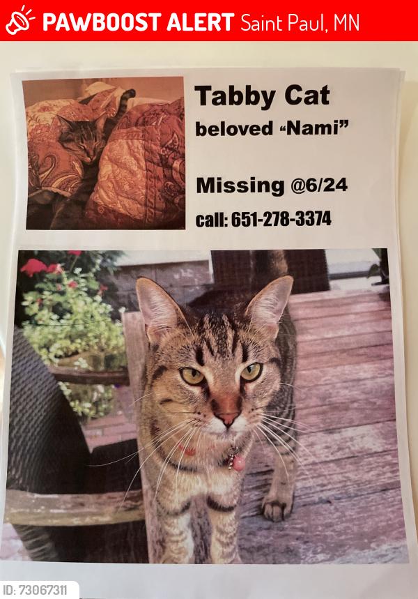 Lost Female Cat last seen Linwood and S Avon st, Saint Paul, MN 55105