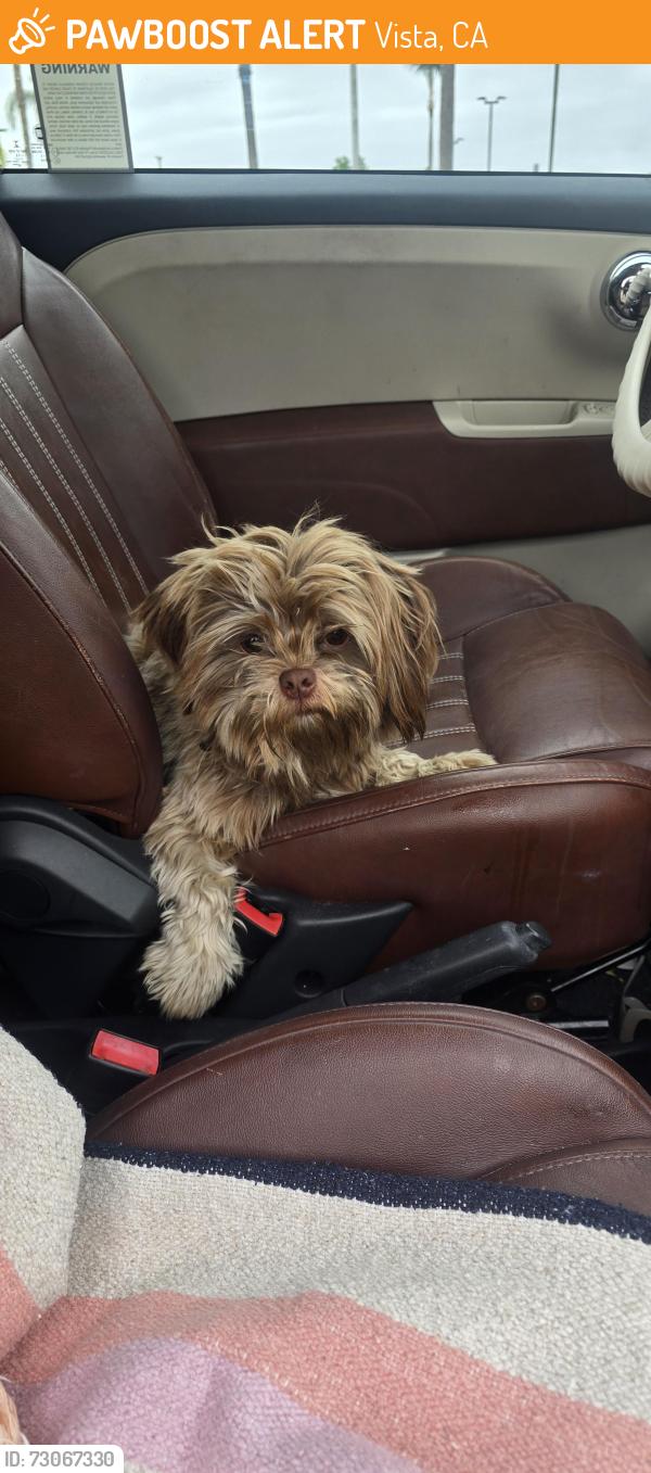Found/Stray Male Dog last seen North Sante Fe & W Bobbier, Vista, CA 92083